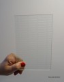 ornamentmastrerraypoziom1.JPG