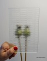 ornamentmastrerraypoziom2.JPG