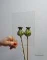 szklofloat1.JPG