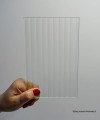 Flutesbezbarwnypion.JPG