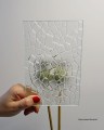 ornamentpicassobialy2.JPG