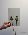 SzklarskiMarket-antisolgrafitowy2.JPG