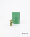 SzklarskiMarket-prostoka-lacobeljunglegreen0667-2.JPG