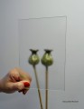 antyreflex2.JPG